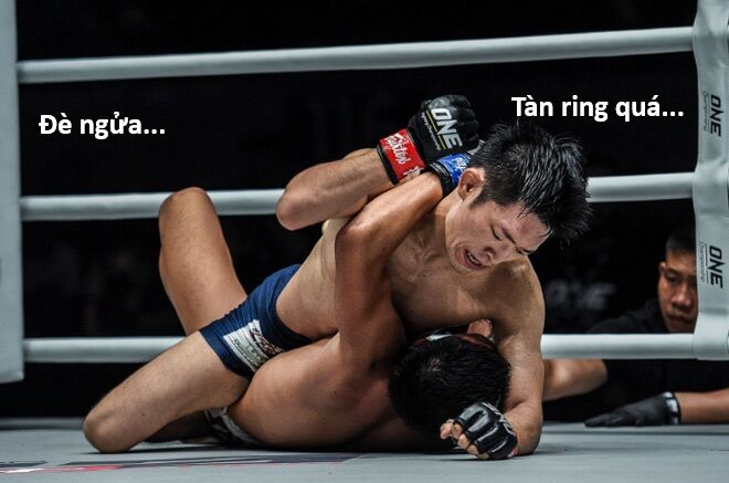 Hổ Đến Chơi Nhà Chap 152 - Next Chap 153