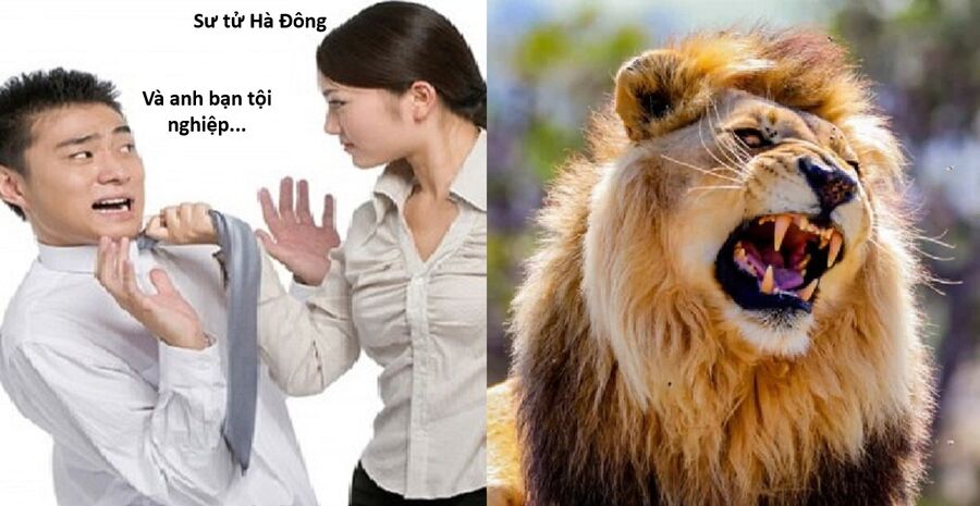 Hổ Đến Chơi Nhà Chap 152 - Next Chap 153