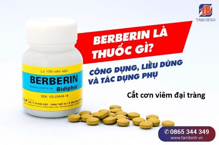 Hổ Đến Chơi Nhà Chap 153 - Next Chap 154