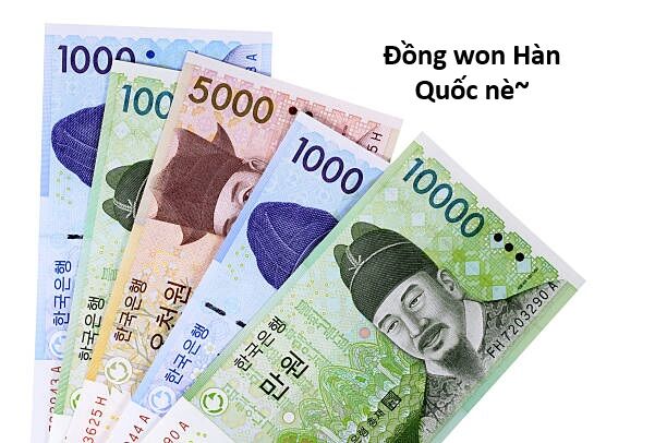 Hổ Đến Chơi Nhà Chap 159 - Next Chap 160