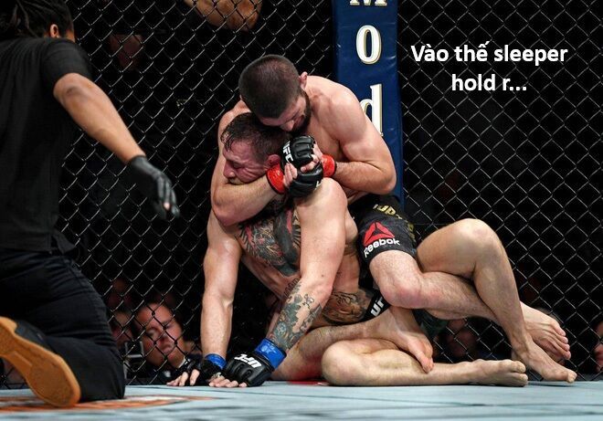 Hổ Đến Chơi Nhà Chap 161 - Next Chap 162