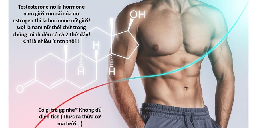 Hổ Đến Chơi Nhà Chap 169 - Next Chap 170