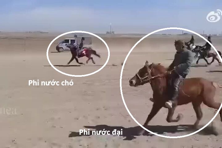 Hổ Đến Chơi Nhà Chap 169 - Next Chap 170