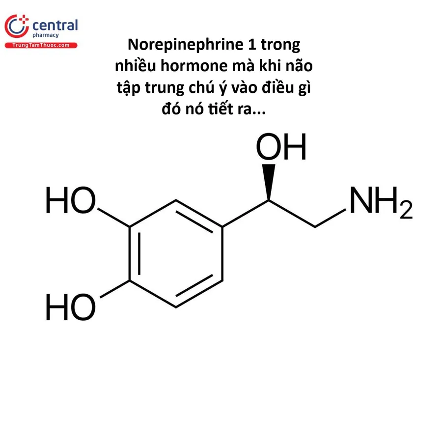 Hổ Đến Chơi Nhà Chap 176 - Next Chap 177