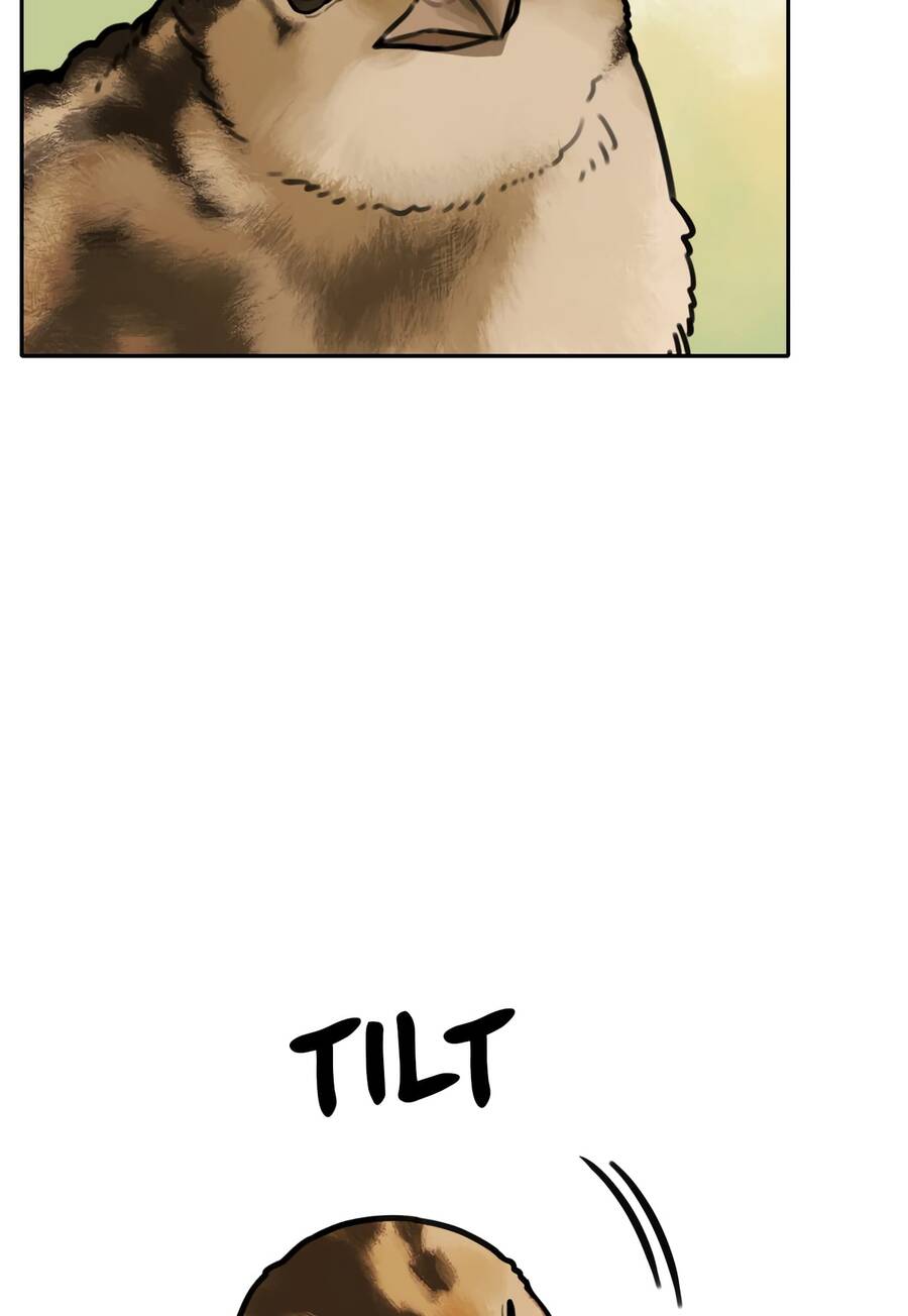 Hổ Đến Chơi Nhà Chap 67 - Next Chap 68