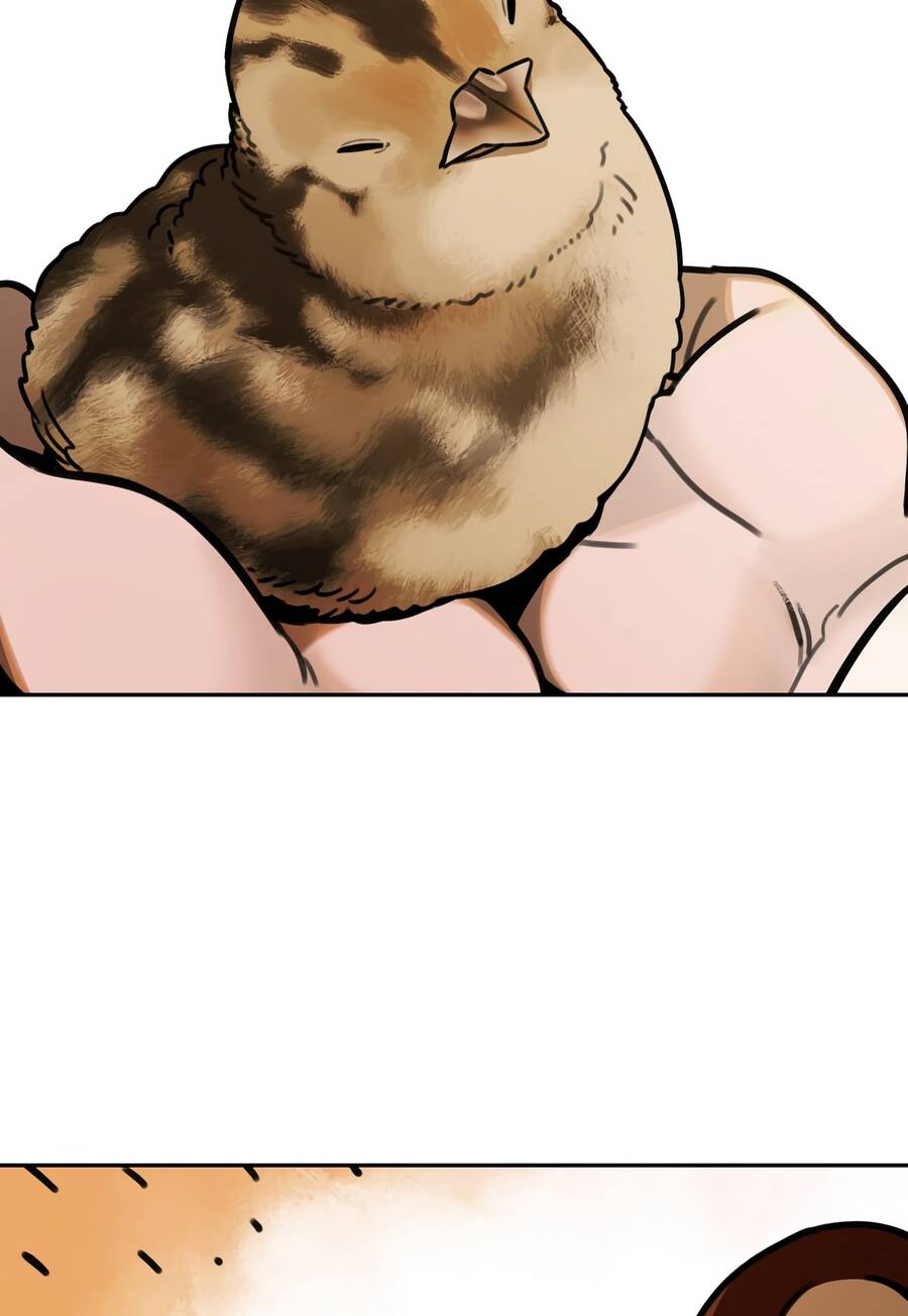 Hổ Đến Chơi Nhà Chap 67 - Next Chap 68