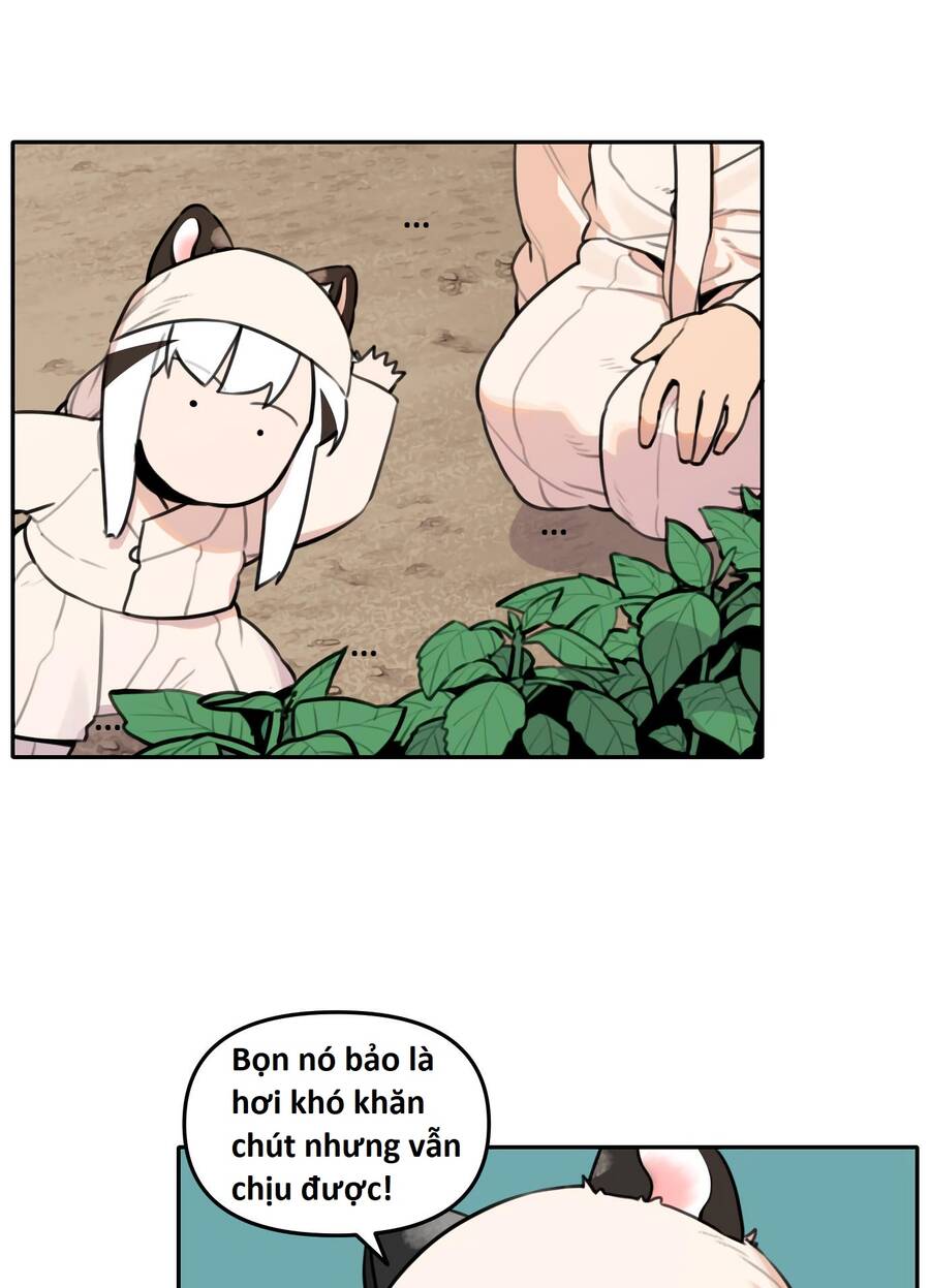 Hổ Đến Chơi Nhà Chap 91 - Next Chap 92