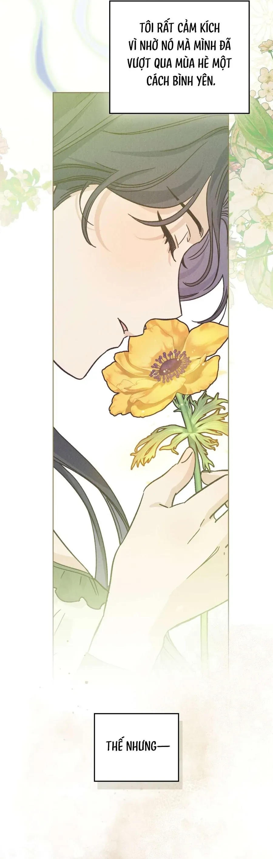 Hồ Điệp Nuốt Chửng Sương Mù Chap 27 - Next Chap 28