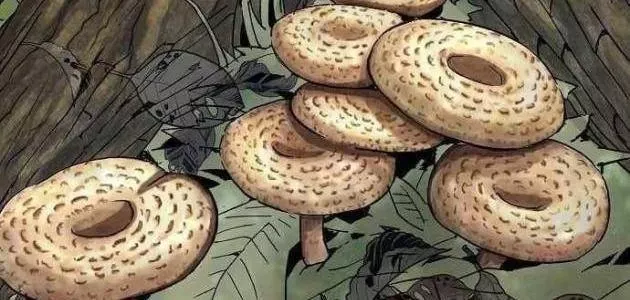 Hồ Sơ Ác Nhân Chap 33 - Next Chap 34