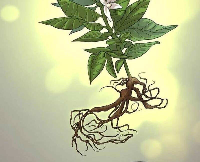 Hoa Sơn Tái Xuất Chap 115 - Next Chap 116