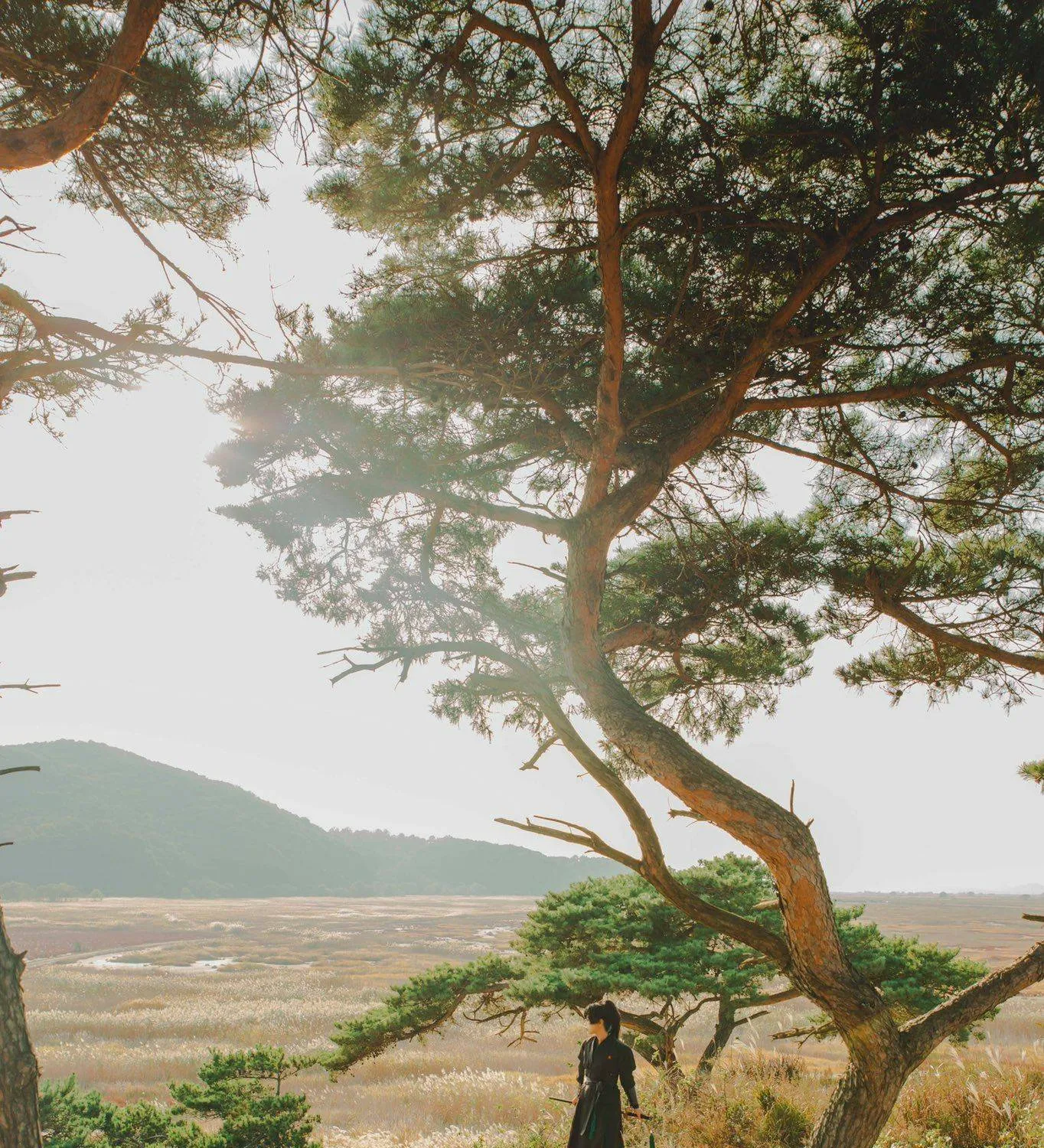 Hoa Sơn Tái Xuất Chap 51.5 - Next Chap 52.5