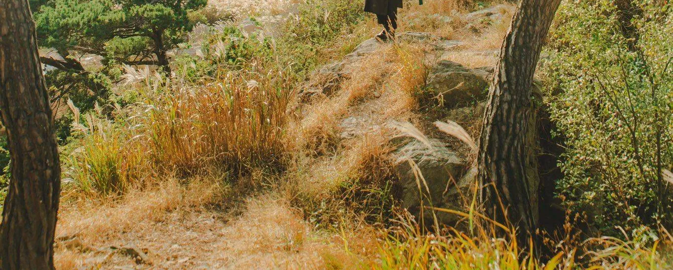 Hoa Sơn Tái Xuất Chap 51.5 - Next Chap 52.5