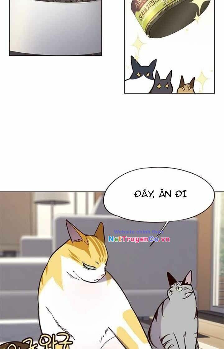 Hóa Thân Thành Mèo Chap 101 - Next Chap 102