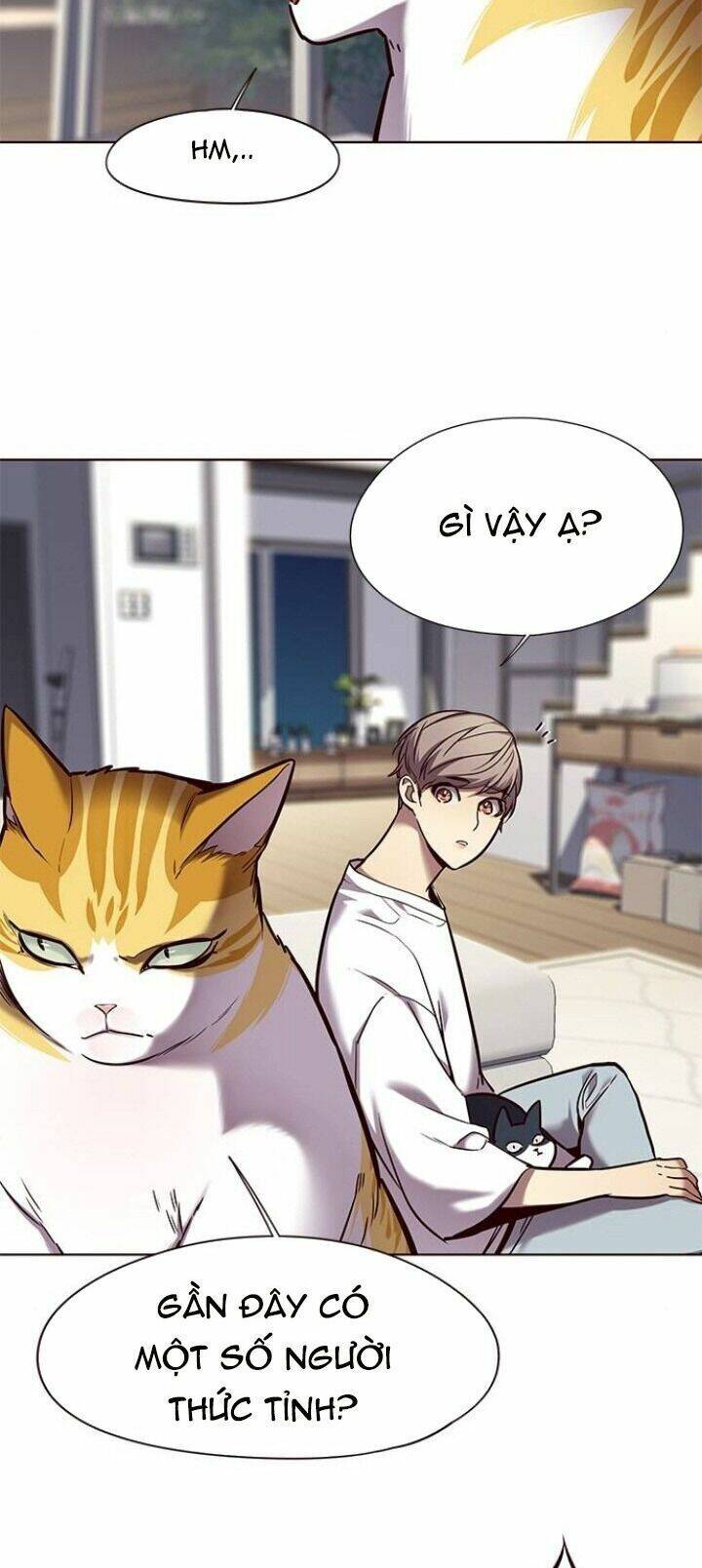 Hóa Thân Thành Mèo Chap 104 - Next Chap 105