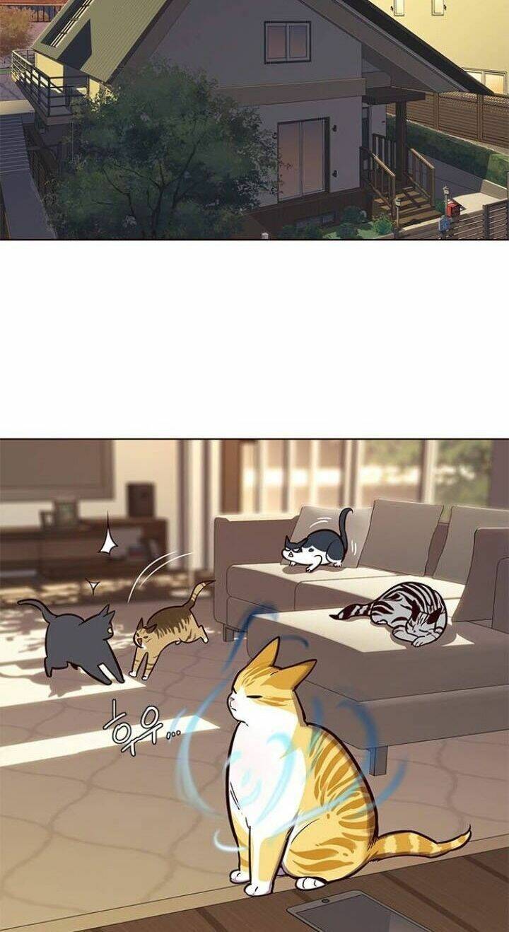 Hóa Thân Thành Mèo Chap 106 - Next Chap 107