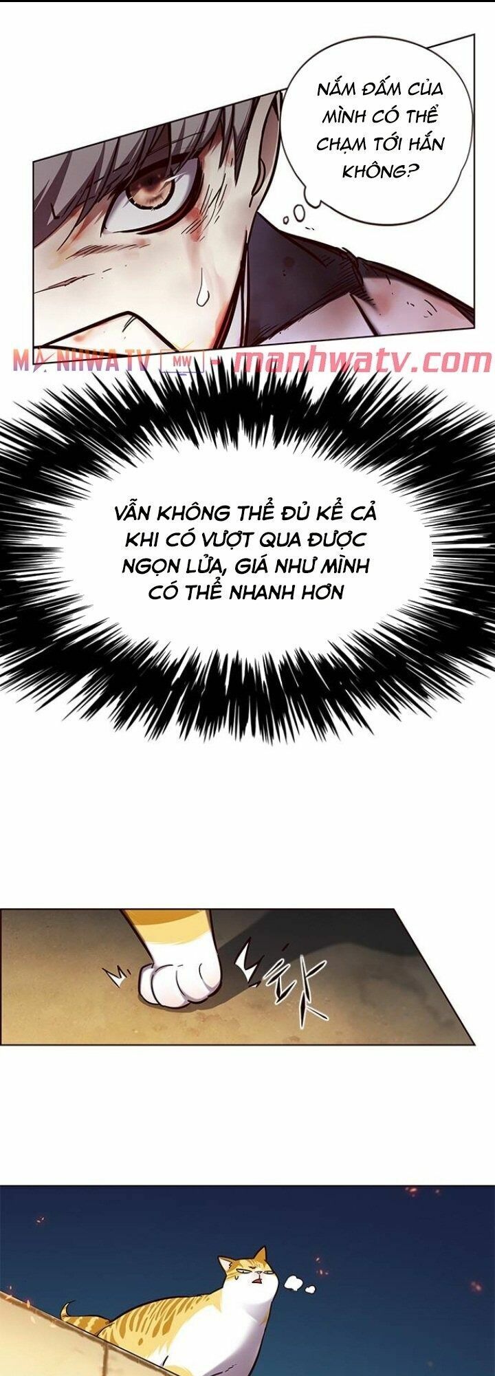 Hóa Thân Thành Mèo Chap 110 - Next Chap 111