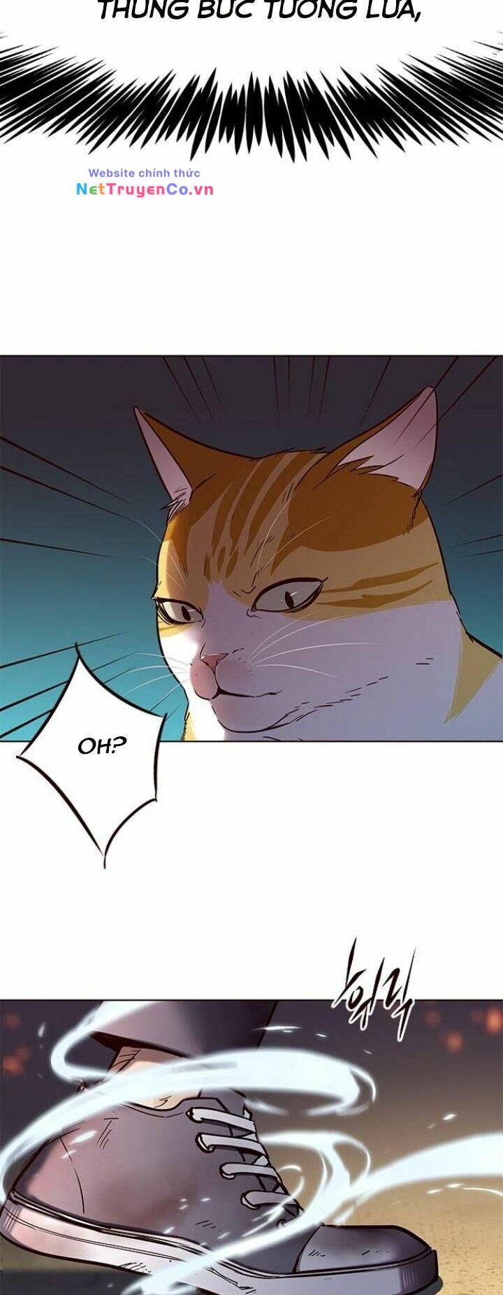 Hóa Thân Thành Mèo Chap 110 - Next Chap 111