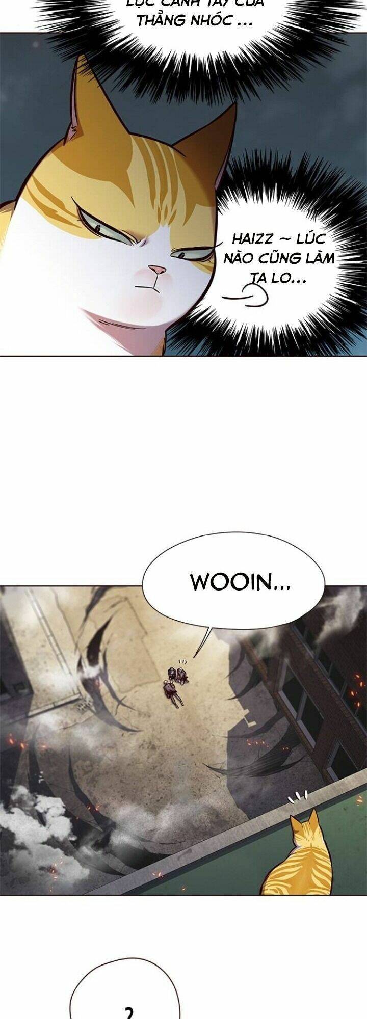 Hóa Thân Thành Mèo Chap 111 - Next Chap 112