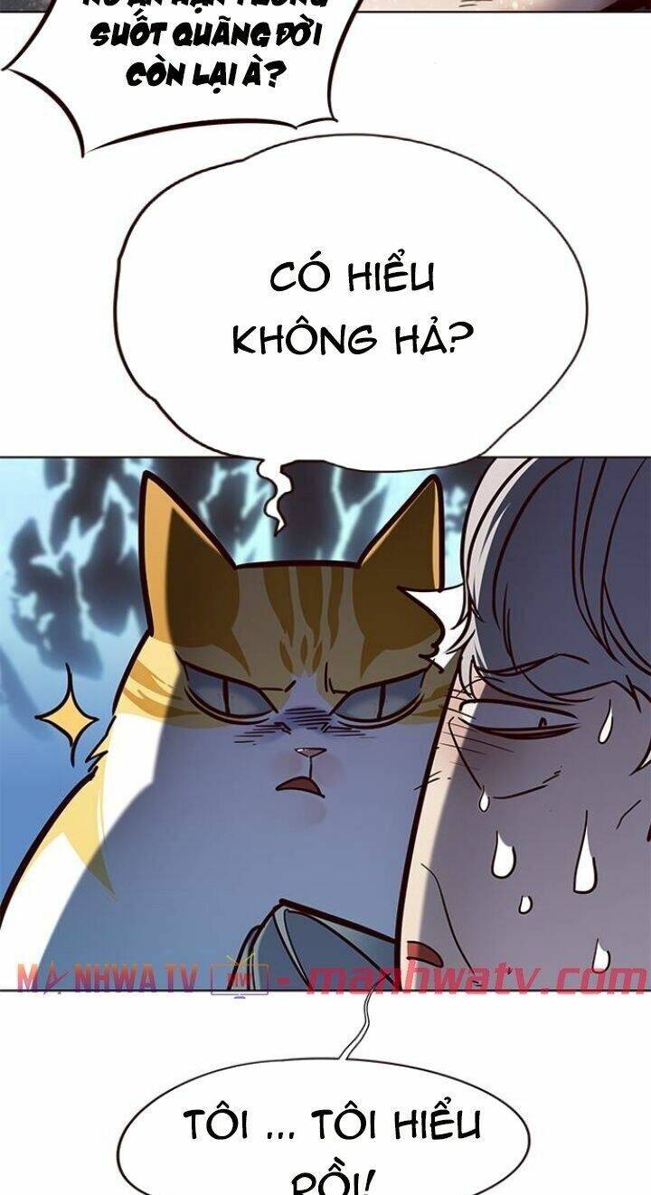 Hóa Thân Thành Mèo Chap 112 - Next Chap 113