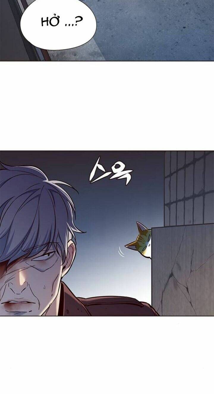 Hóa Thân Thành Mèo Chap 112 - Next Chap 113