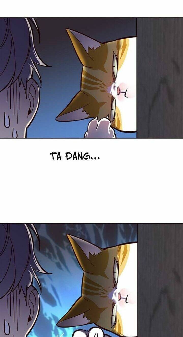 Hóa Thân Thành Mèo Chap 112 - Next Chap 113