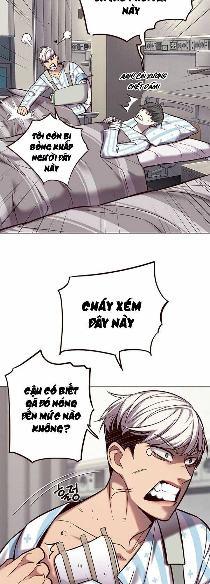 Hóa Thân Thành Mèo Chap 113 - Next Chap 114