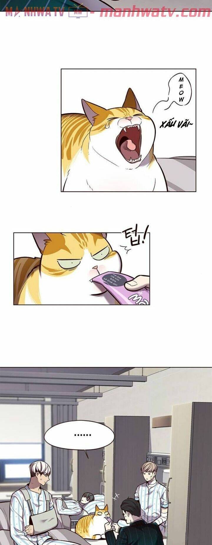 Hóa Thân Thành Mèo Chap 114 - Next Chap 115