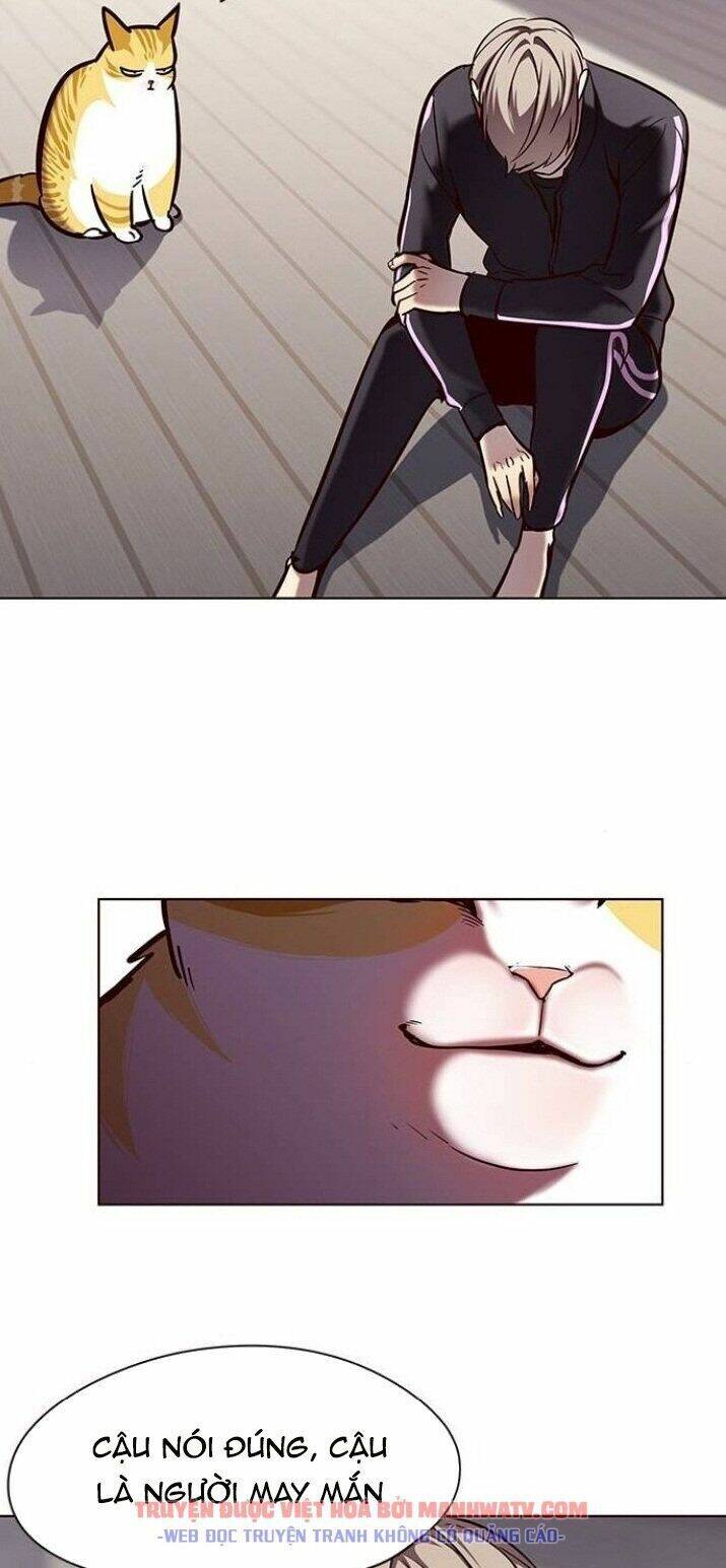 Hóa Thân Thành Mèo Chap 116 - Next Chap 117