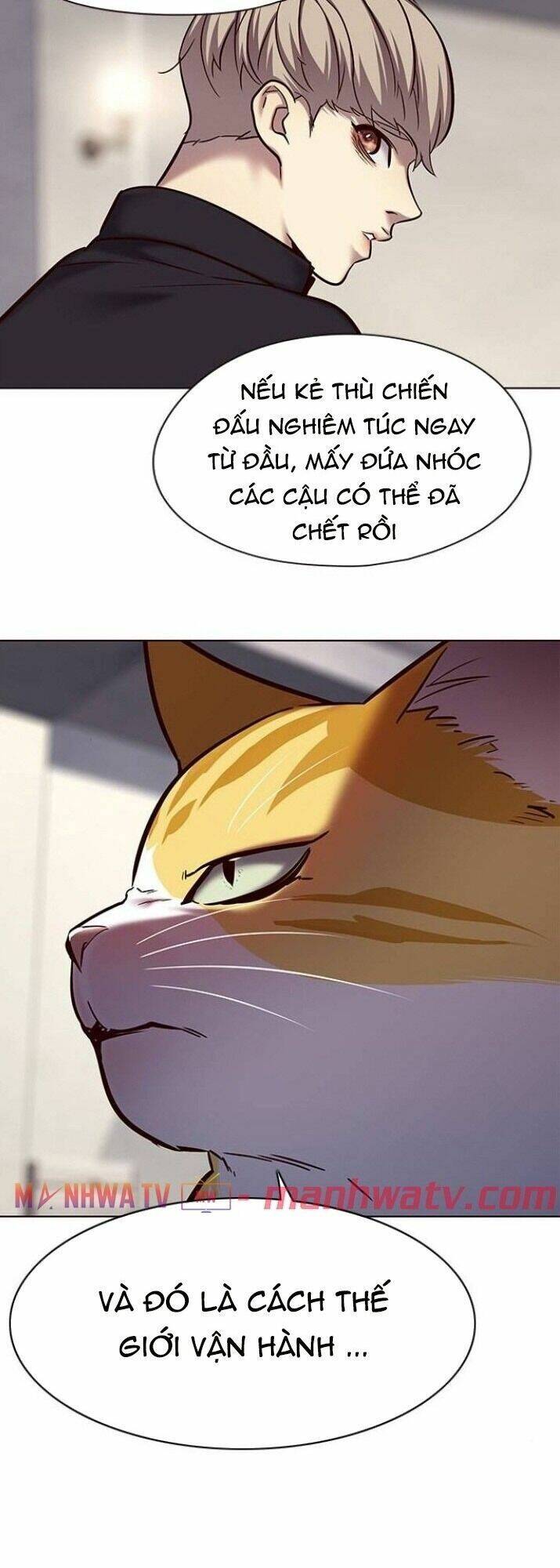 Hóa Thân Thành Mèo Chap 116 - Next Chap 117