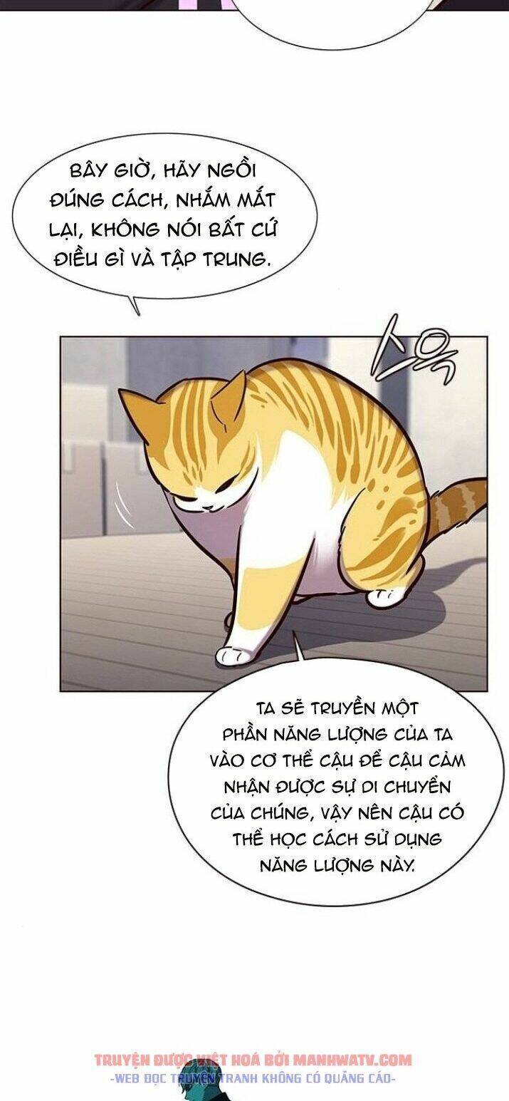 Hóa Thân Thành Mèo Chap 116 - Next Chap 117