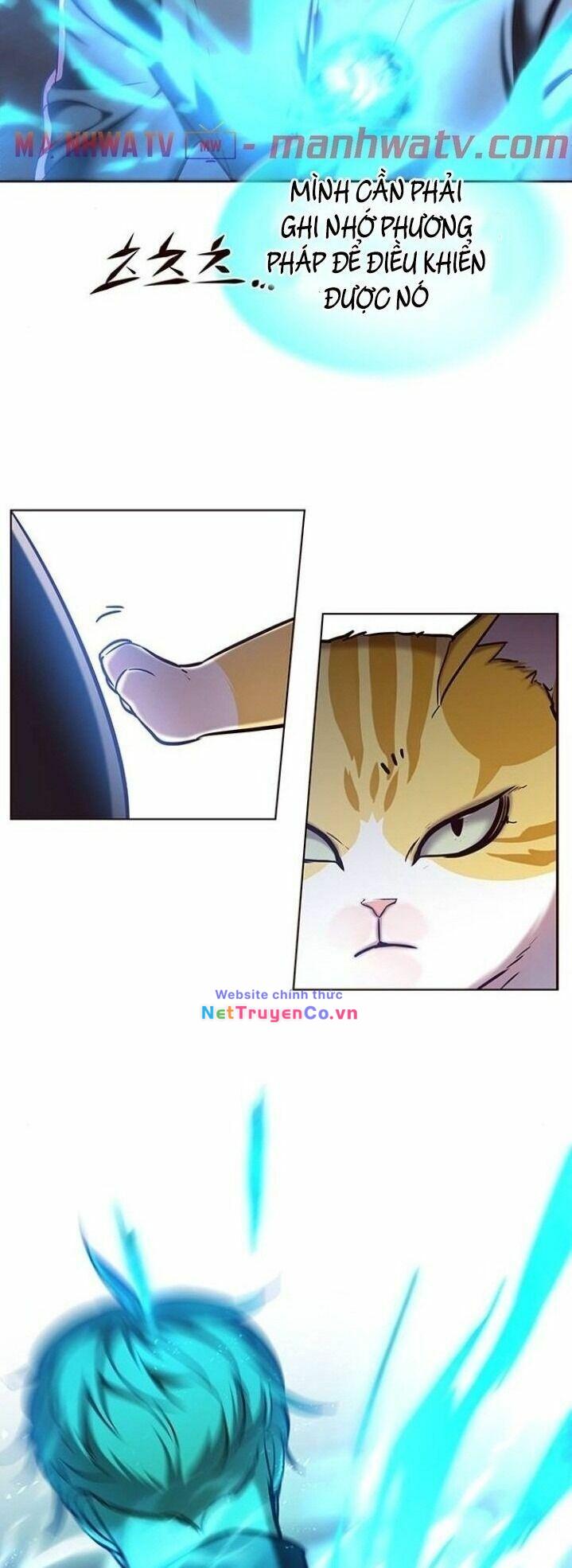 Hóa Thân Thành Mèo Chap 116 - Next Chap 117