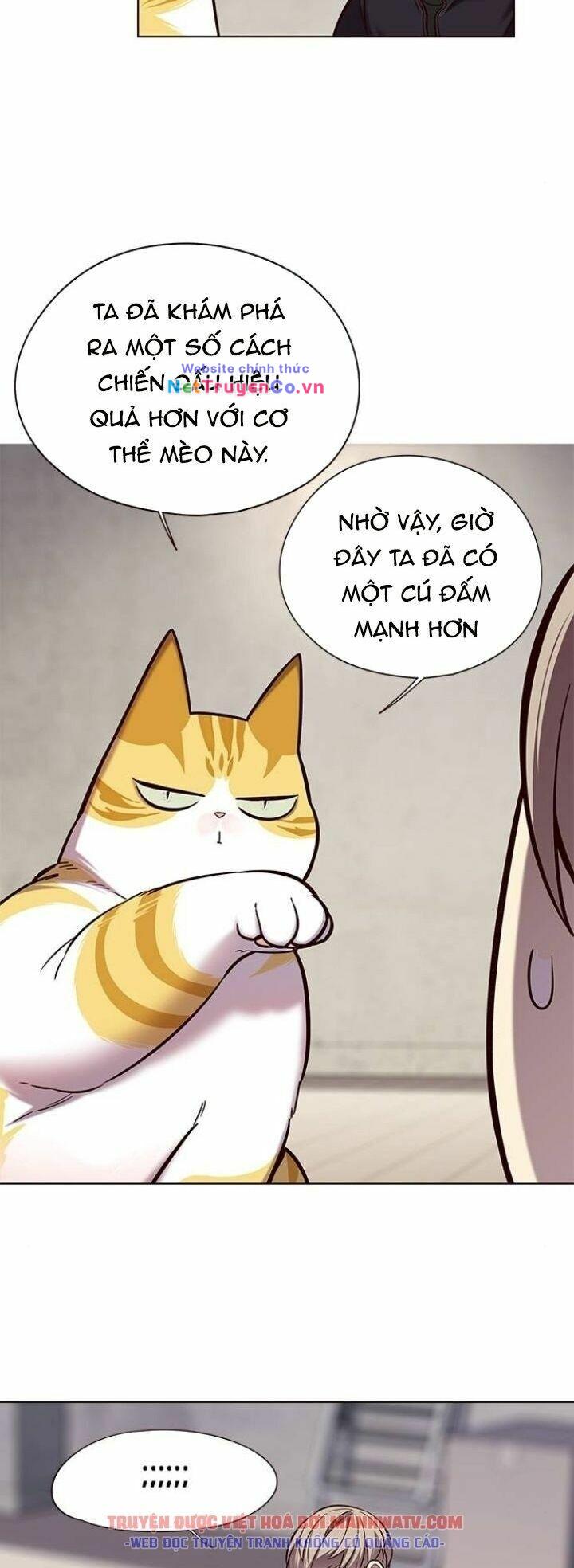 Hóa Thân Thành Mèo Chap 116 - Next Chap 117