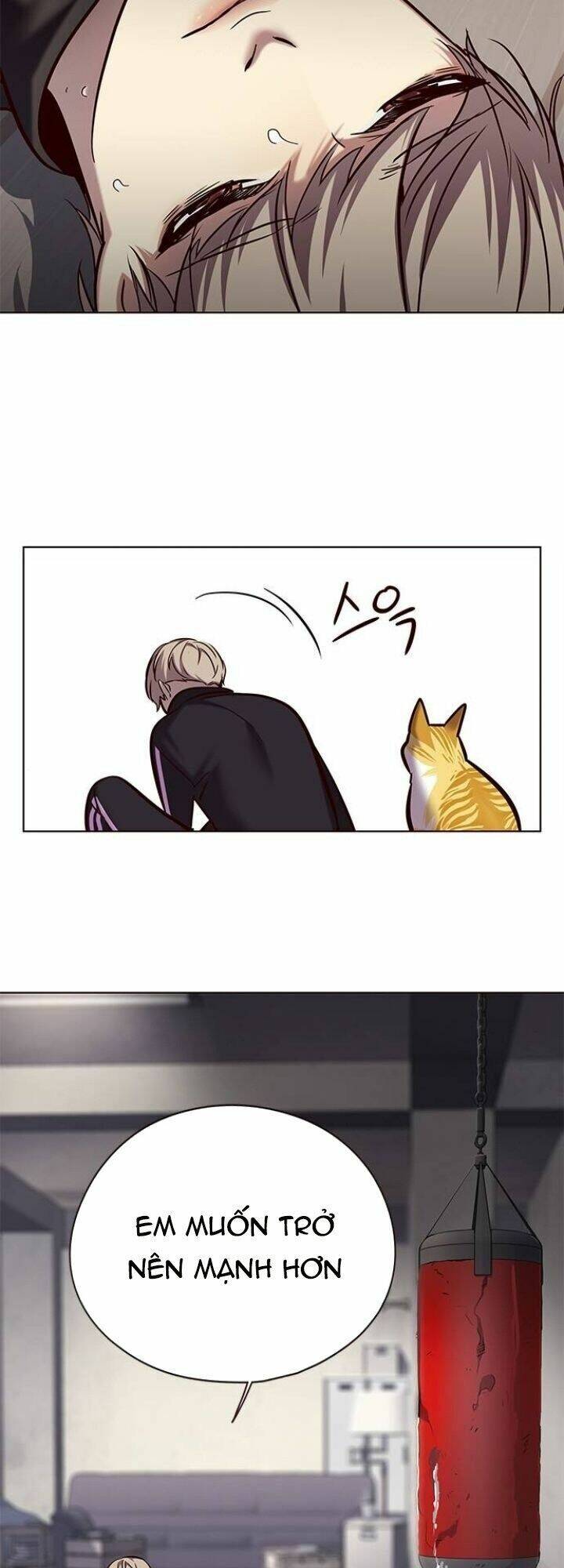 Hóa Thân Thành Mèo Chap 116 - Next Chap 117