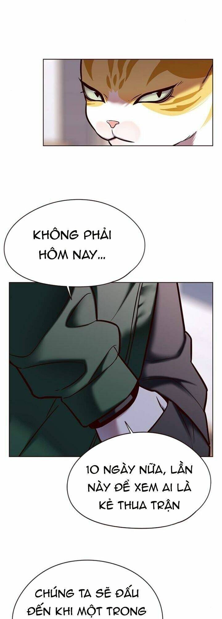 Hóa Thân Thành Mèo Chap 117 - Next Chap 118
