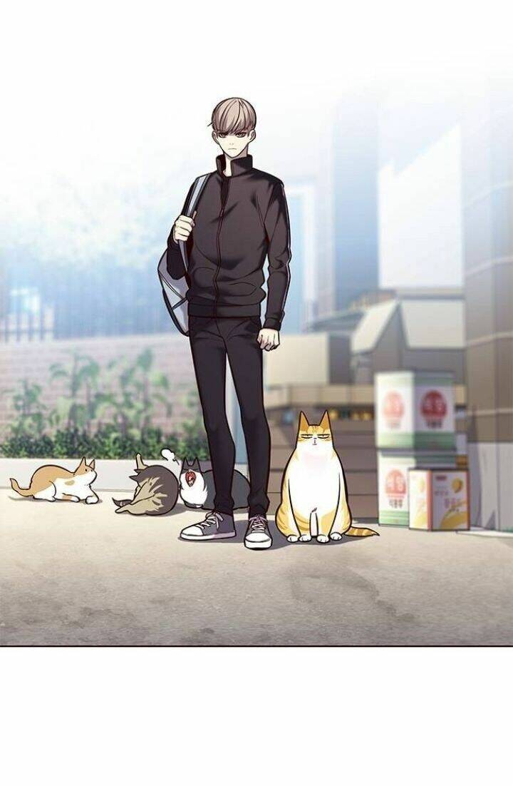 Hóa Thân Thành Mèo Chap 117 - Next Chap 118