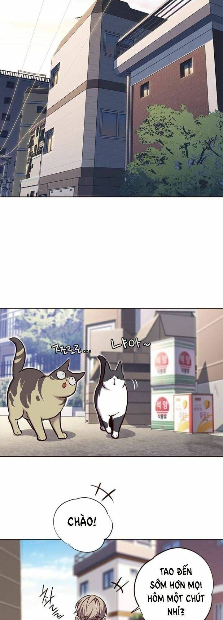 Hóa Thân Thành Mèo Chap 117 - Next Chap 118