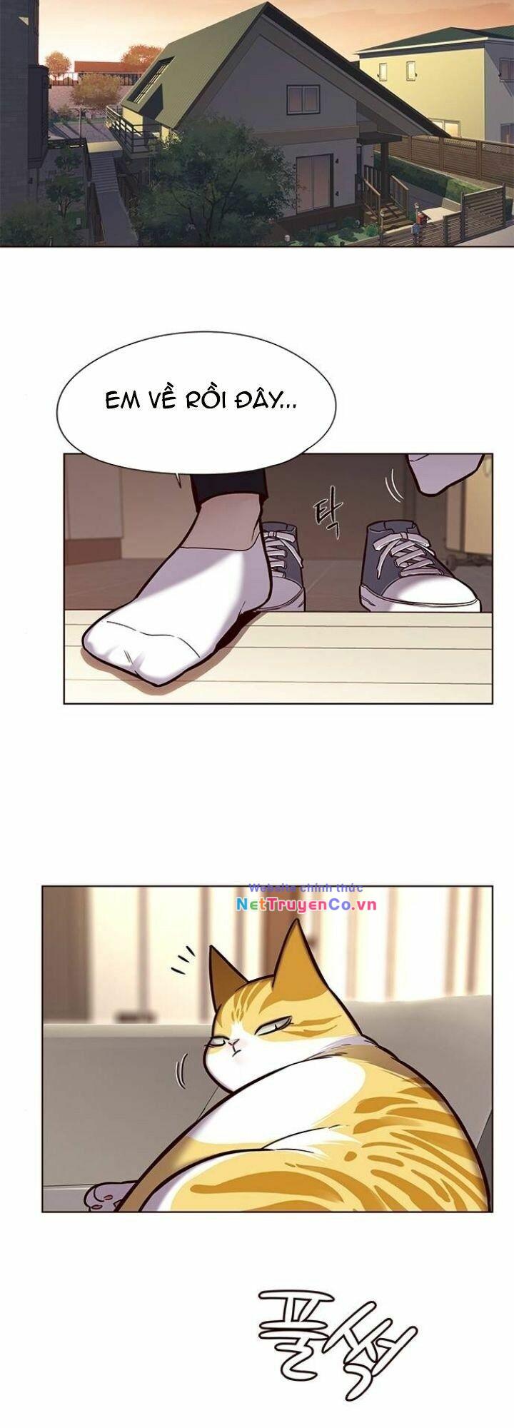 Hóa Thân Thành Mèo Chap 118 - Next Chap 119