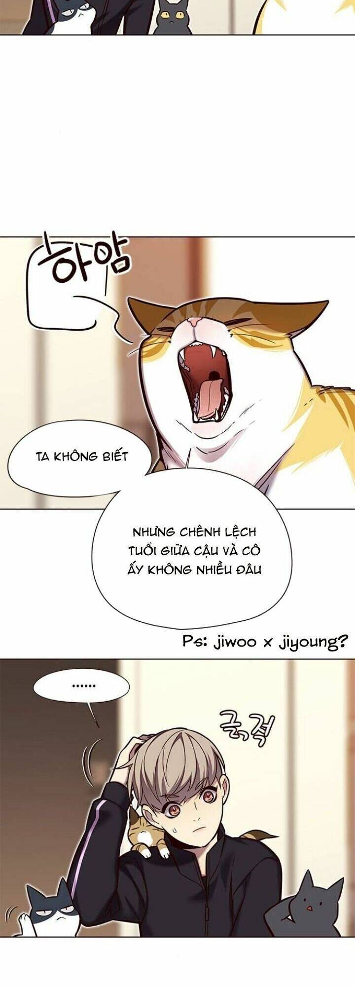 Hóa Thân Thành Mèo Chap 118 - Next Chap 119