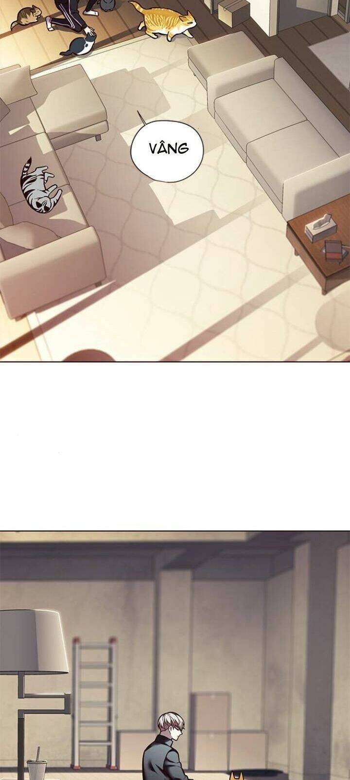 Hóa Thân Thành Mèo Chap 118 - Next Chap 119