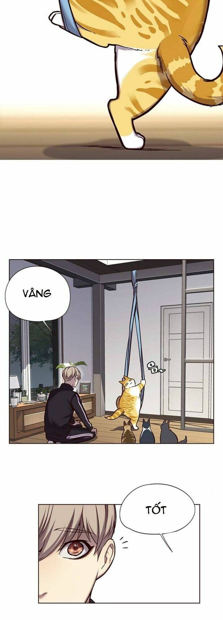 Hóa Thân Thành Mèo Chap 118 - Next Chap 119