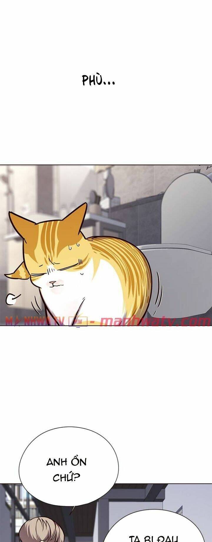 Hóa Thân Thành Mèo Chap 119 - Next Chap 120