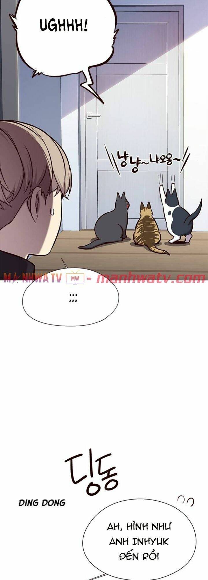 Hóa Thân Thành Mèo Chap 119 - Next Chap 120