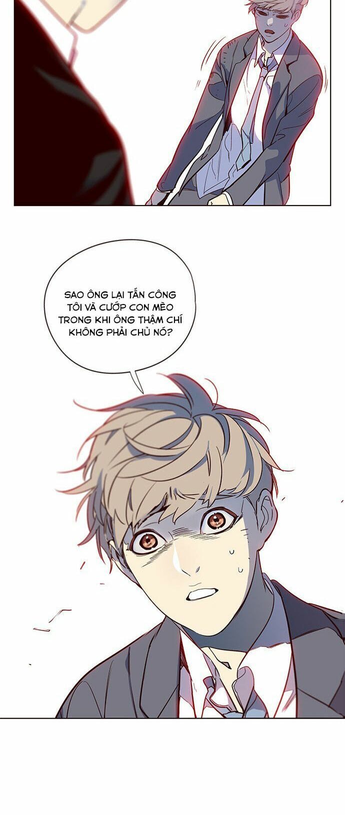 Hóa Thân Thành Mèo Chap 12 - Next Chap 13