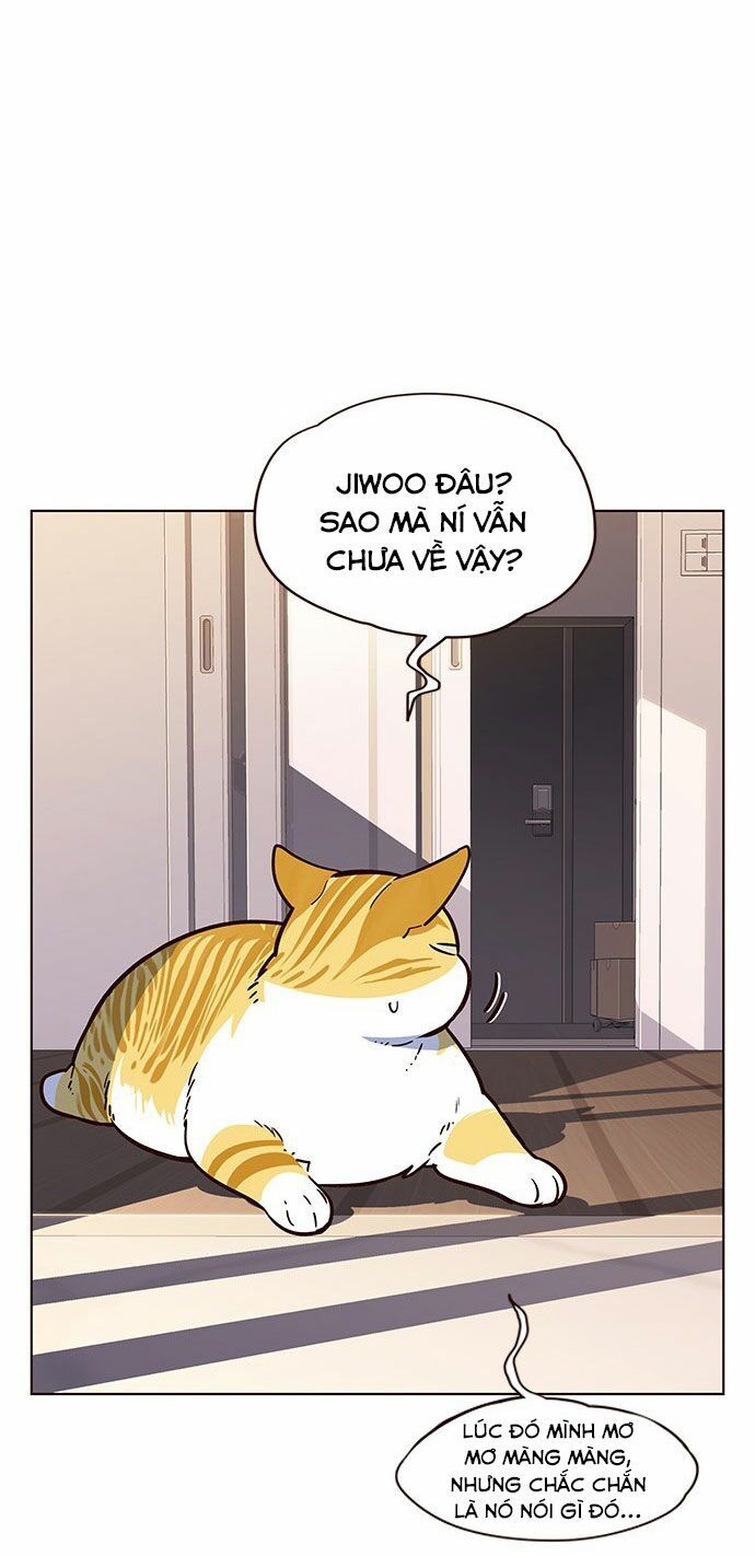 Hóa Thân Thành Mèo Chap 12 - Next Chap 13