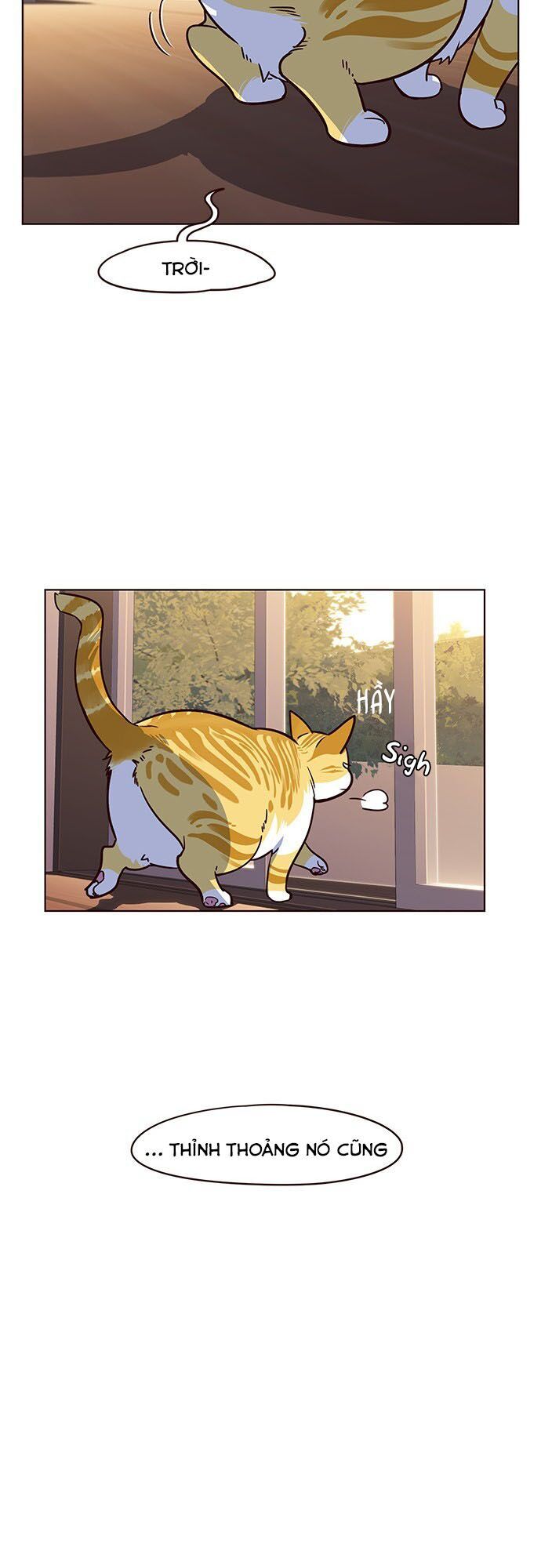 Hóa Thân Thành Mèo Chap 12 - Next Chap 13