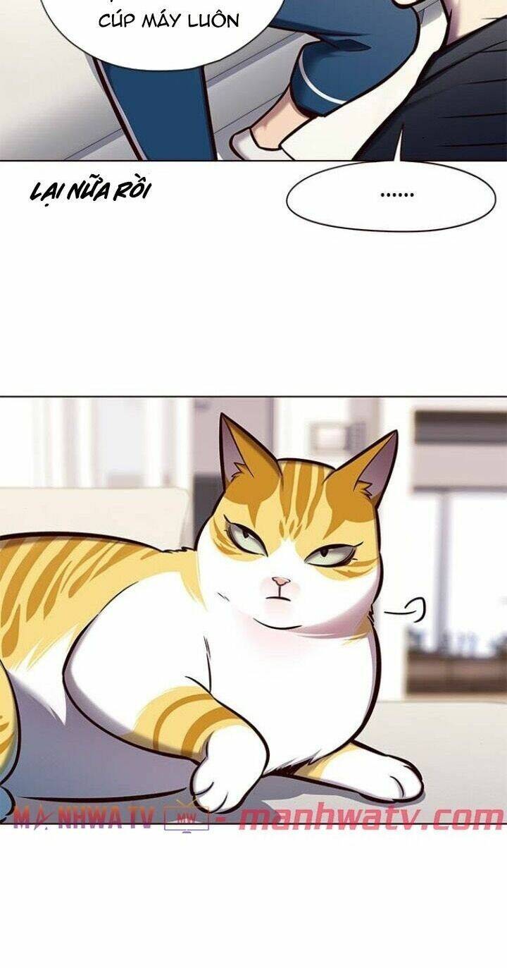 Hóa Thân Thành Mèo Chap 124 - Next Chap 125