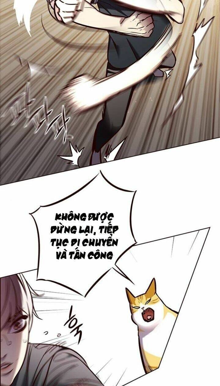 Hóa Thân Thành Mèo Chap 124 - Next Chap 125