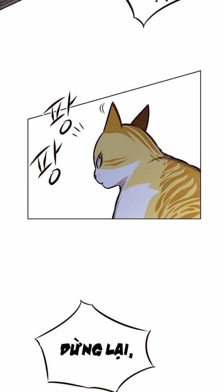 Hóa Thân Thành Mèo Chap 124 - Next Chap 125