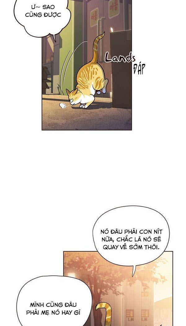 Hóa Thân Thành Mèo Chap 13 - Next Chap 14