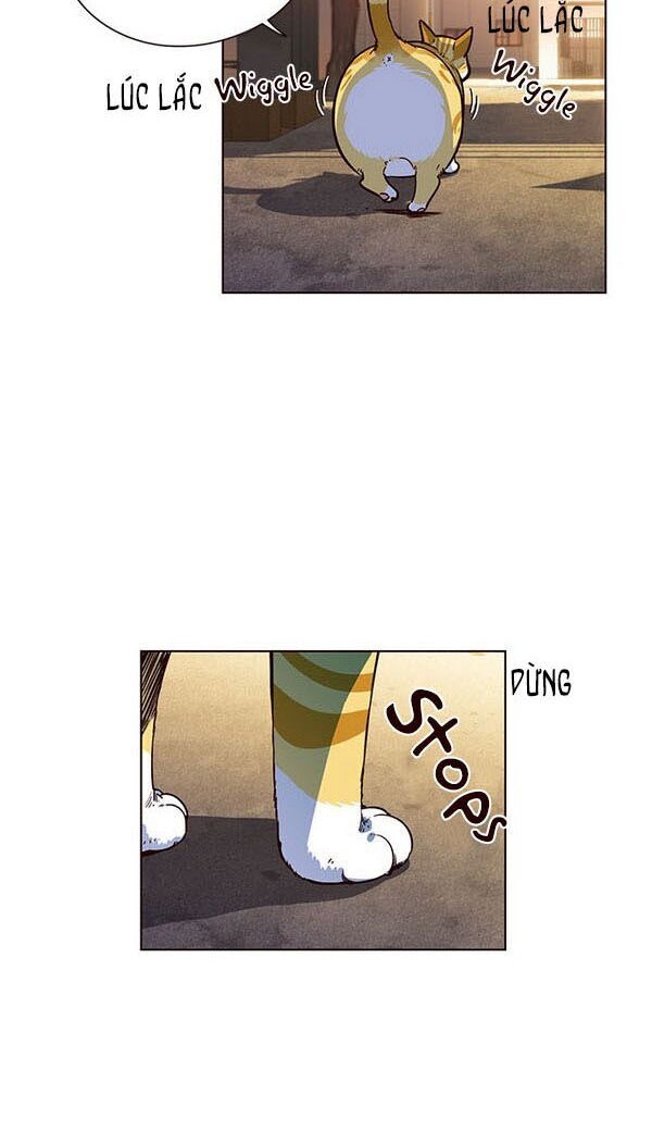 Hóa Thân Thành Mèo Chap 13 - Next Chap 14